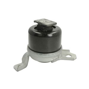 Suporte do motor REINHOCH RH11-4033