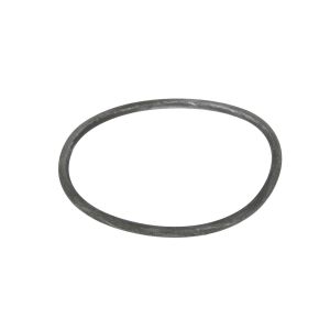 O-Ring, Getriebe EURORICAMBI 60532617