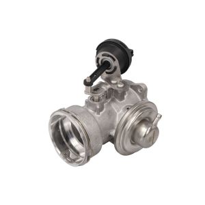 AGR Ventil BORG WARNER 7451D