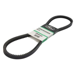 Cinghia Poly-V GATES GATCB0010