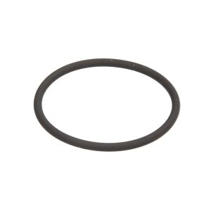 Joint, pompe d'injection DELPHI 7190-065JY
