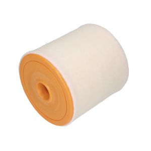 Luftfilter BLUE PRINT ADBP220127
