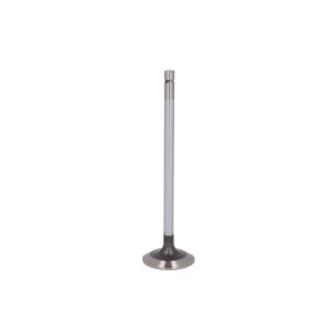 Válvula de admissão FP DIESEL R536135-FP