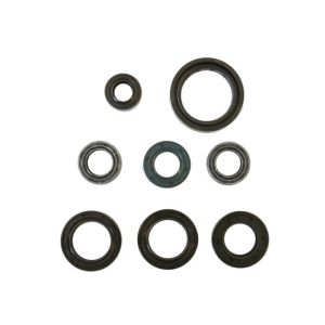 Kit de juntas do motor ATHENA P400210400100