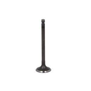 Einlassventil FRECCIA R6609/SNT