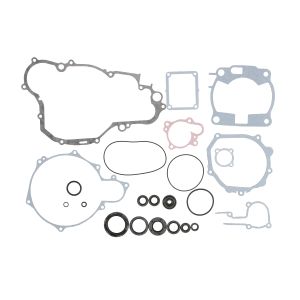 Set di guarnizioni, motore WINDEROSA W811663