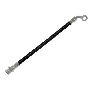 Bremsschlauch BLUE PRINT ADT353314