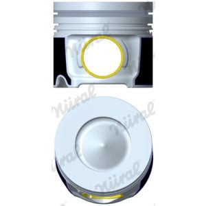 Piston Nüral 87-449700-50