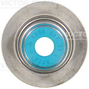 Dichtring, Ventilschaft REINZ 70-19432-00