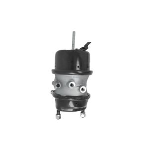 Cilindro da roda SBP 05-BCT24/24-W21