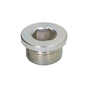 Conjunto, parafuso de escoamento de óleo ELRING 872.020
