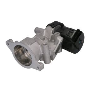 EGR-klep DELPHI HEG10396