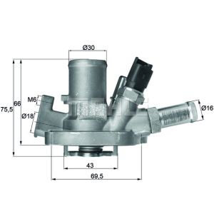 Thermostaat, koelvloeistof BEHR MAHLE TI 151 80