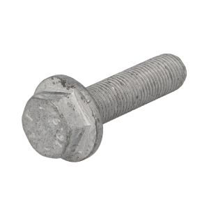 Parafuso da polia SASIC 8704007