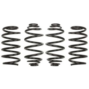 Mola de suspensão EIBACH Pro-Kit E10-78-003-01-22