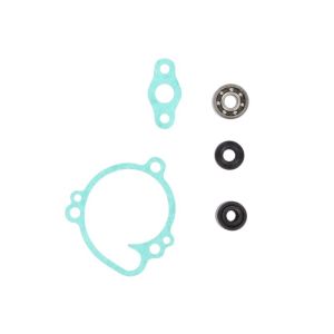 Kit de reparação, bomba de água HOT RODS WPK0039