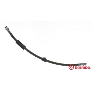 Bromsslang BREMBO T 06 038
