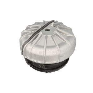 Suporte do motor REINHOCH RH11-3162