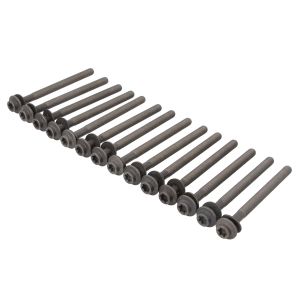 Kit de parafusos, cabeça do cilindro REINZ 14-21242-01