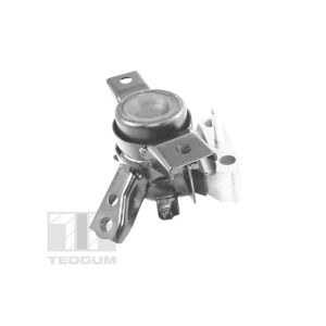 Soporte del motor TEDGUM TED13922