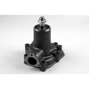 Pompe à eau HEPU P9909