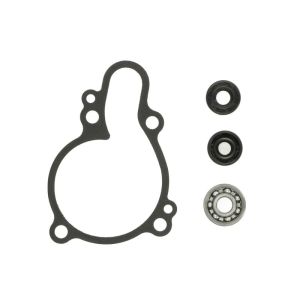 Kit de reparação, bomba de água HOT RODS WPK0033