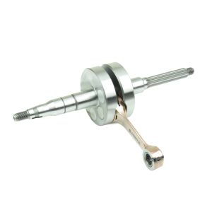 Cambota ATHENA S410485320003