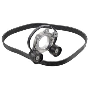 Febi Bilstein 17477 – Cinghia Dentata Per Distribuzione – Larghezza 24 Mm, 169 Denti, Profilo Arrotondato – Qualità Originale
