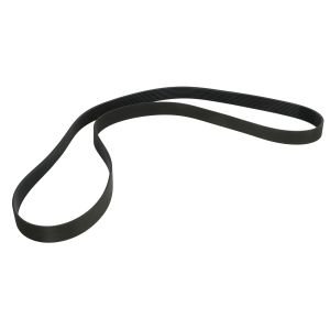 Poly V-riem OPTIBELT AP1004463