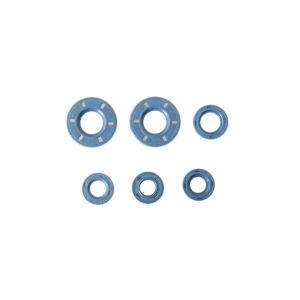 Kit de juntas do motor ATHENA P400150400210