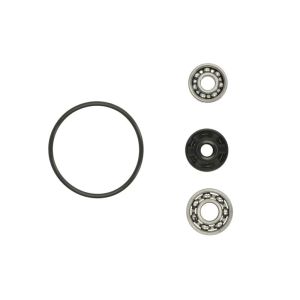 Kit de reparação, bomba de água HOT RODS WPK0047