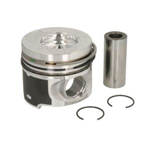 Piston NE 130038002500