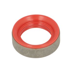 Anel de vedação, eixo traseiro BTA B06-2253
