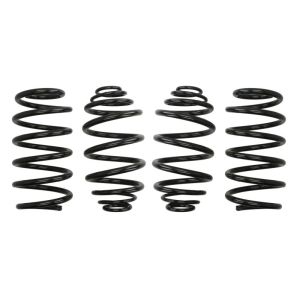 Mola de suspensão EIBACH Pro-Kit E10-65-013-06-22