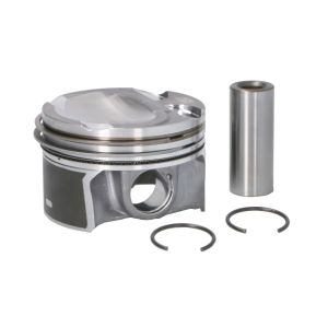 Piston NE 130038004421