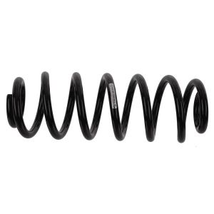 Chassisveer SACHS 994 989