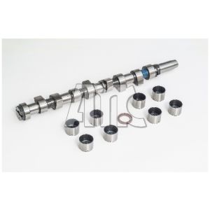 Conjunto da árvore de cames AMC 669851K