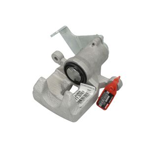 Jarrusatula LAUBER 77.3707