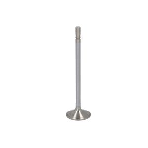 Válvula de admissão MOTIVE EQ32003697