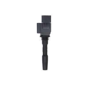 Sytytyspuola BORG WARNER (BERU) ZSE 231