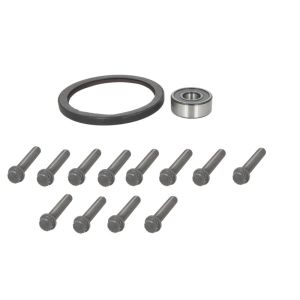 Kit de reparação, volante do motor SACHS 3423 601 008