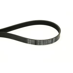 Cinghia Poly-V Continental CTAM 7PK1038 ELAST