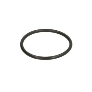 O-Ring, Getriebe C.E.I 139431