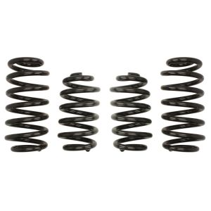 Mola de suspensão Pro-Kit EIBACH E10-15-008-02-22