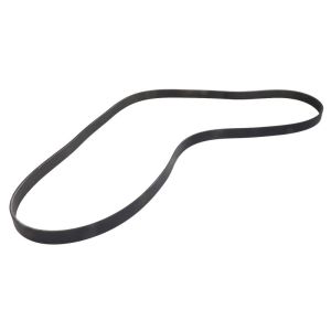 Correa poly V GATES 0285316-GAT