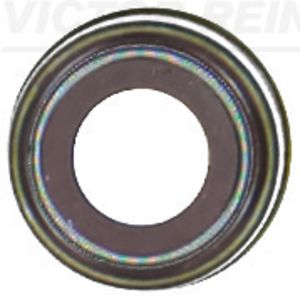 Dichtring, Ventilschaft REINZ 70-38487-00