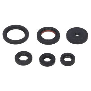 Kit de juntas do motor WINDEROSA W822229
