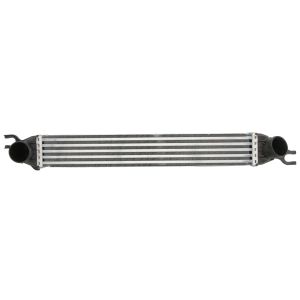 Intercooler MAGNETI MARELLI 351319204290