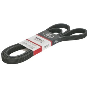 Cinto com várias nervuras (6PK989) GATE GAT6DPK2215