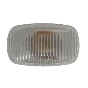 Blinkleuchte DEPO 213-1410N-A